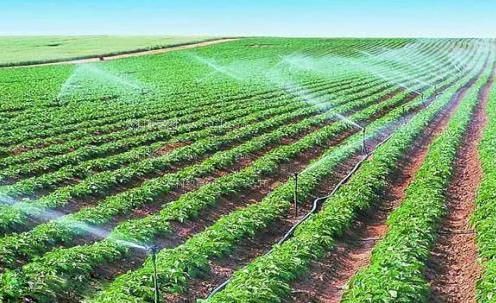 最新美女抽插穴穴视频农田高 效节水灌溉